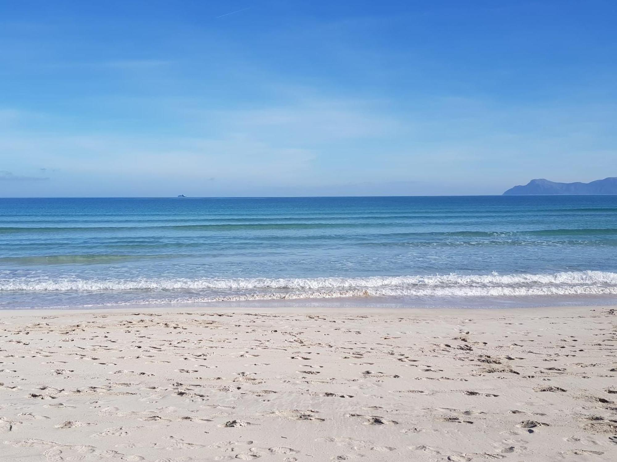 Ideal Mallorca - Micalo * Alcudia (Mallorca)